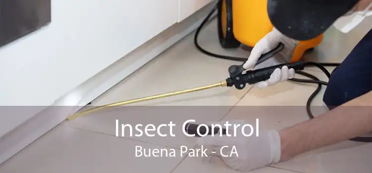 Insect Control Buena Park - CA