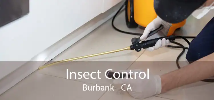 Insect Control Burbank - CA