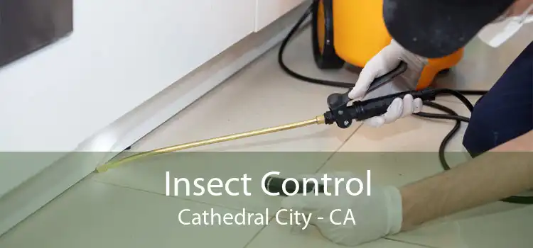 Insect Control Cathedral City - CA