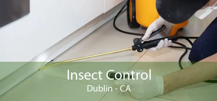 Insect Control Dublin - CA