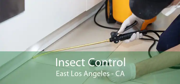 Insect Control East Los Angeles - CA