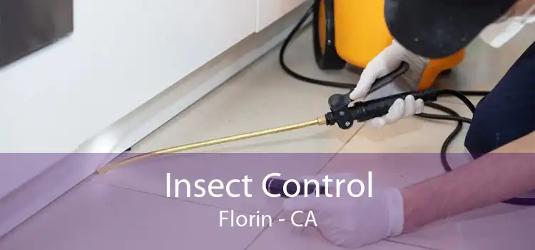 Insect Control Florin - CA