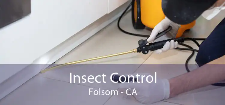 Insect Control Folsom - CA