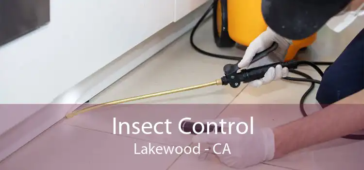 Insect Control Lakewood - CA