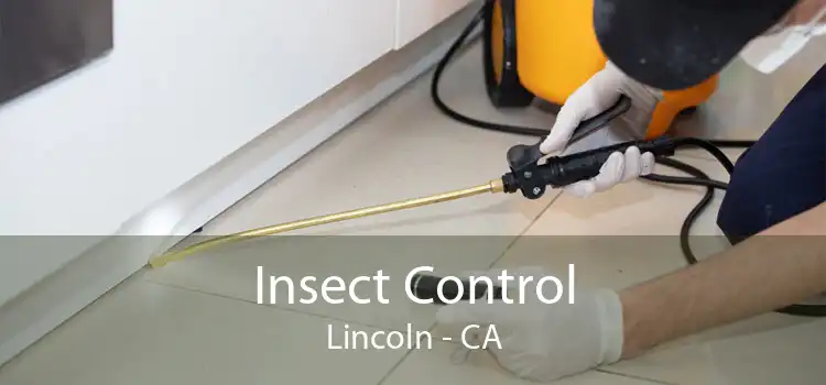 Insect Control Lincoln - CA