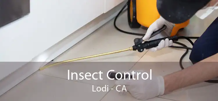 Insect Control Lodi - CA