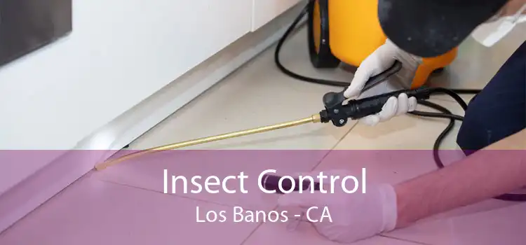 Insect Control Los Banos - CA