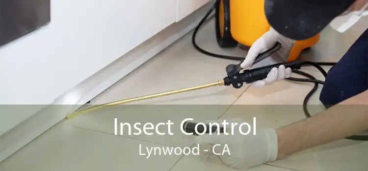 Insect Control Lynwood - CA