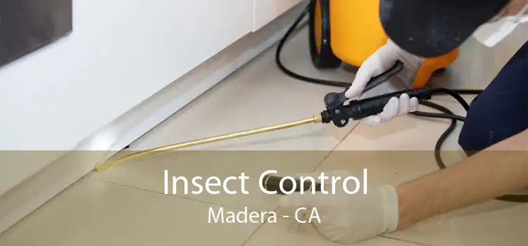 Insect Control Madera - CA