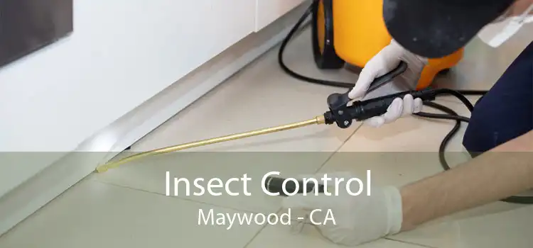 Insect Control Maywood - CA