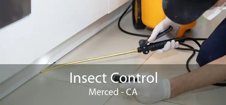 Insect Control Merced - CA