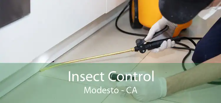 Insect Control Modesto - CA
