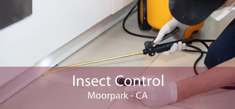 Insect Control Moorpark - CA