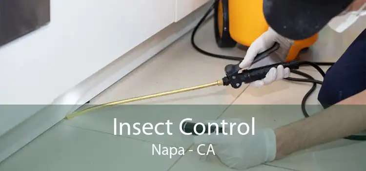 Insect Control Napa - CA