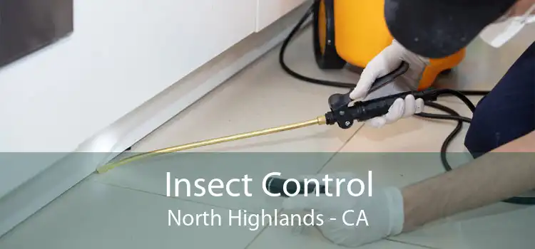 Insect Control North Highlands - CA