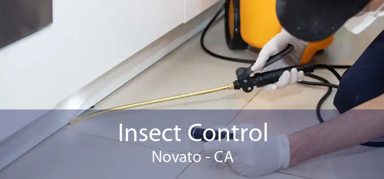 Insect Control Novato - CA