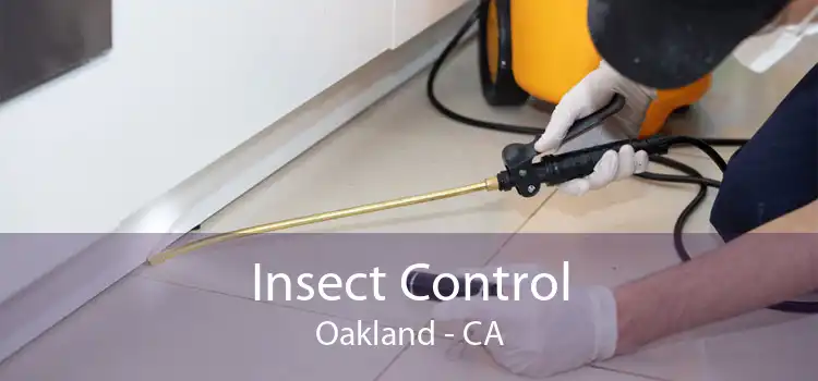 Insect Control Oakland - CA