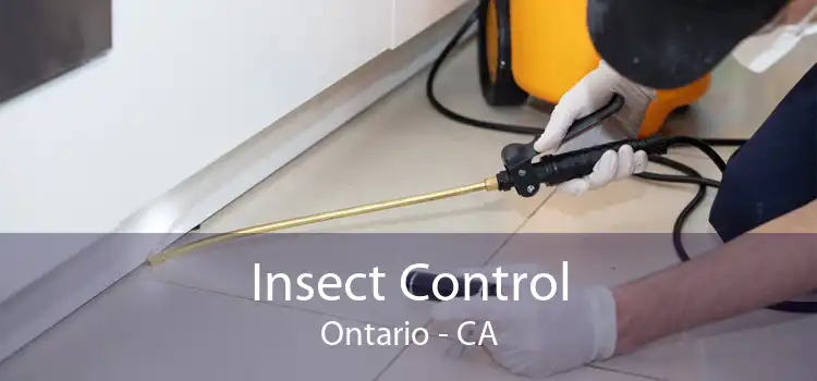 Insect Control Ontario - CA