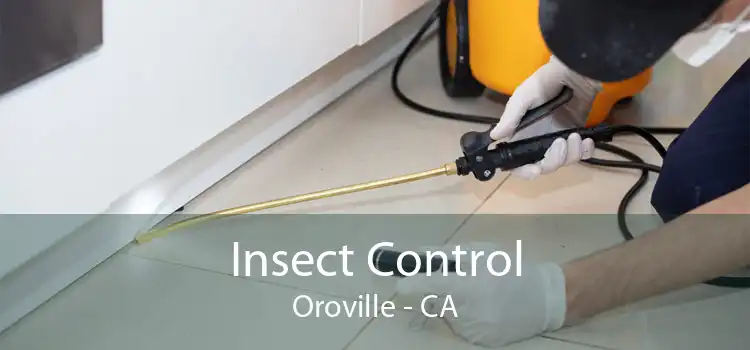 Insect Control Oroville - CA