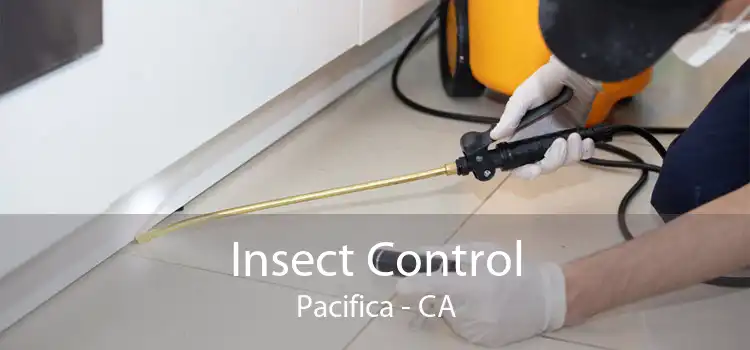 Insect Control Pacifica - CA