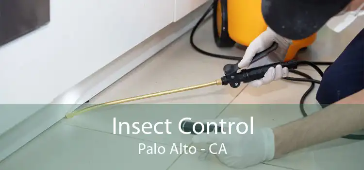 Insect Control Palo Alto - CA