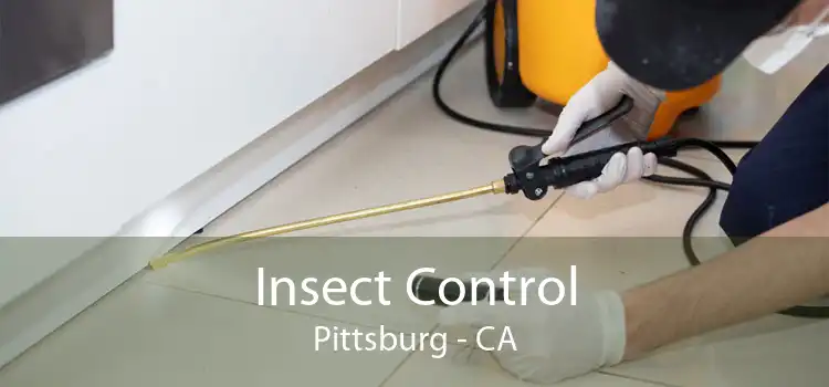 Insect Control Pittsburg - CA