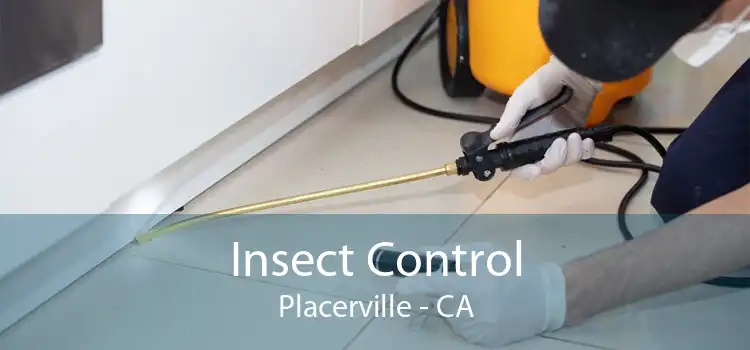 Insect Control Placerville - CA