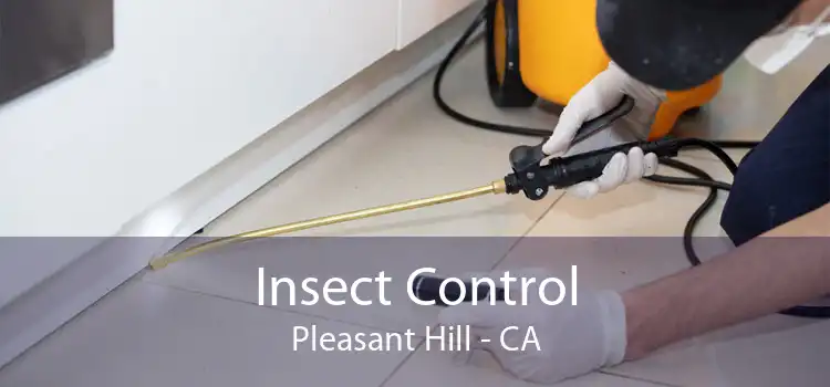 Insect Control Pleasant Hill - CA