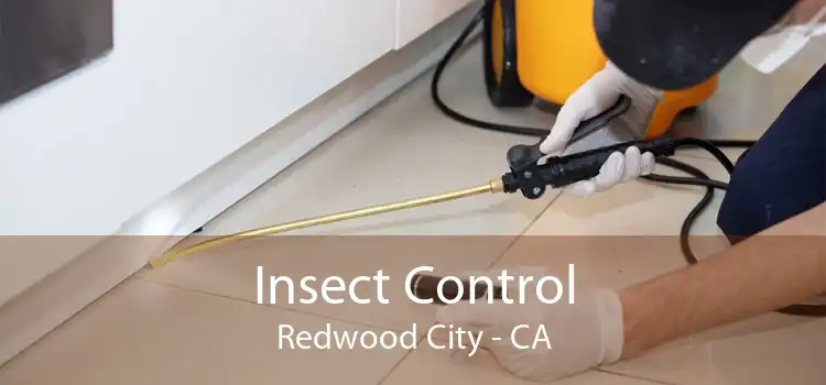 Insect Control Redwood City - CA