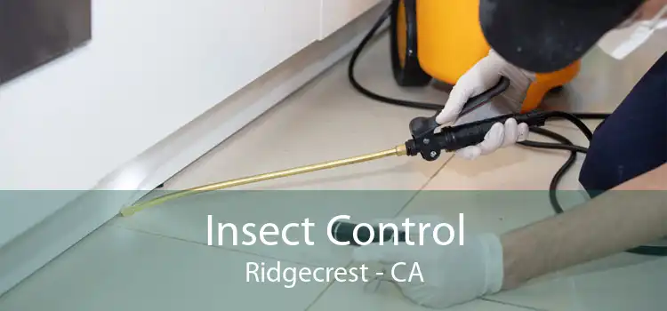 Insect Control Ridgecrest - CA