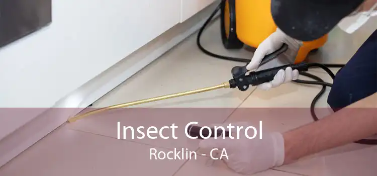 Insect Control Rocklin - CA