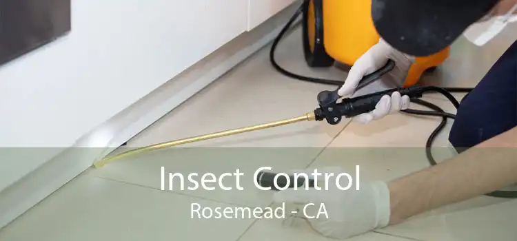 Insect Control Rosemead - CA