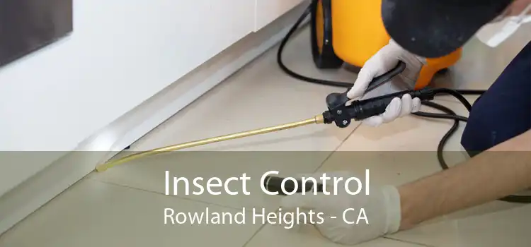 Insect Control Rowland Heights - CA