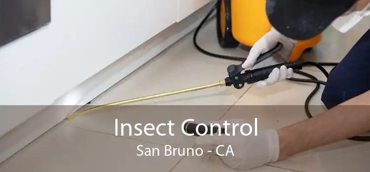Insect Control San Bruno - CA