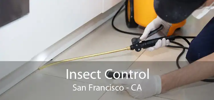 Insect Control San Francisco - CA