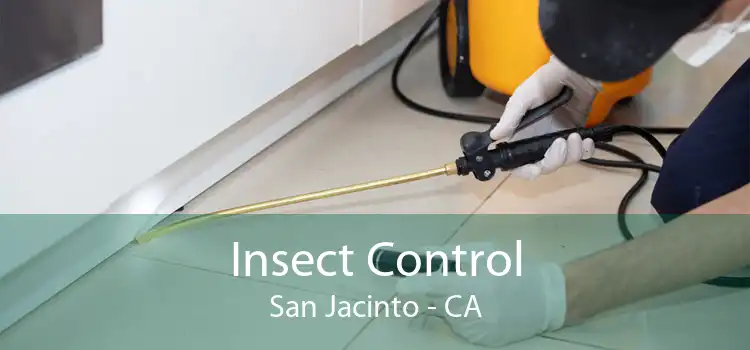 Insect Control San Jacinto - CA