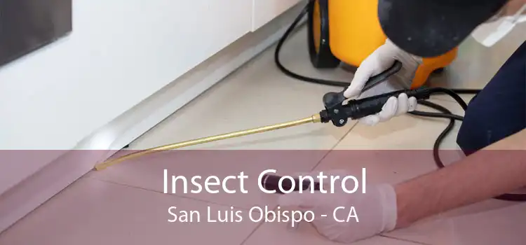 Insect Control San Luis Obispo - CA