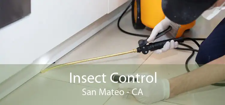 Insect Control San Mateo - CA