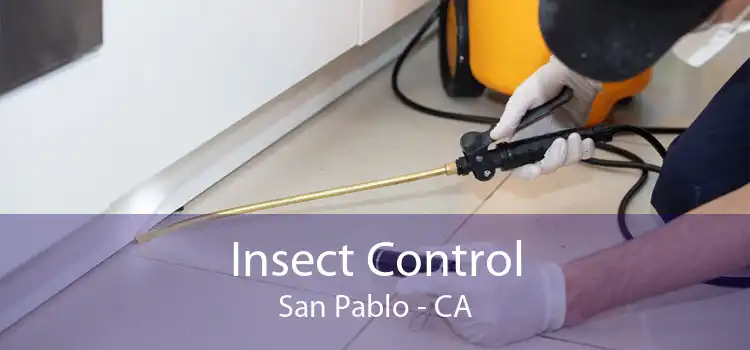 Insect Control San Pablo - CA