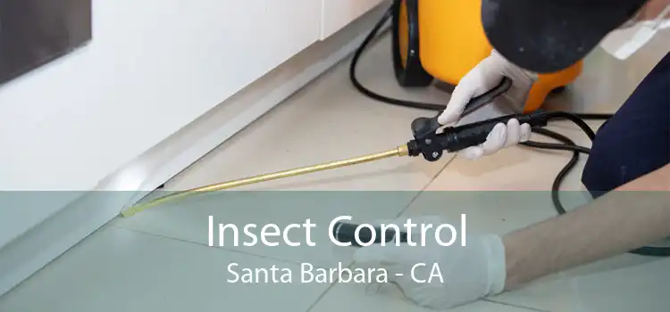 Insect Control Santa Barbara - CA