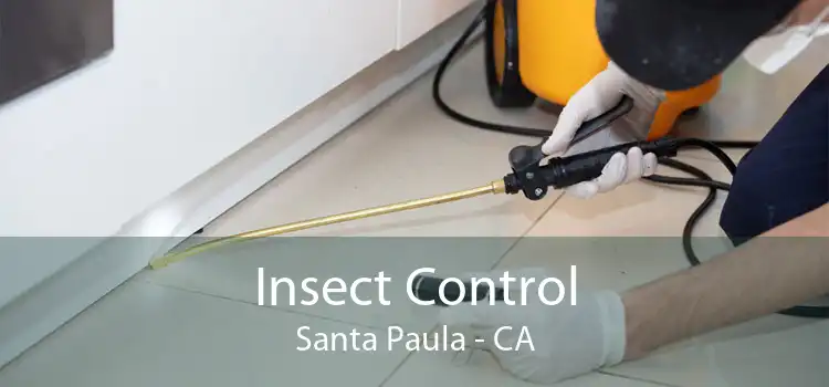Insect Control Santa Paula - CA