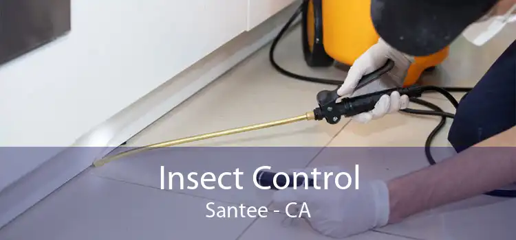 Insect Control Santee - CA