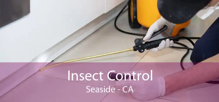 Insect Control Seaside - CA