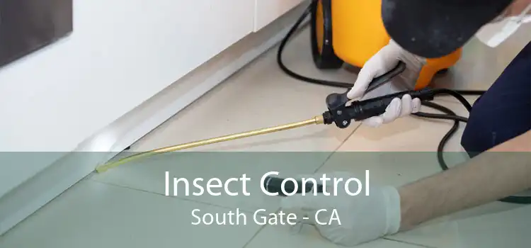 Insect Control South Gate - CA