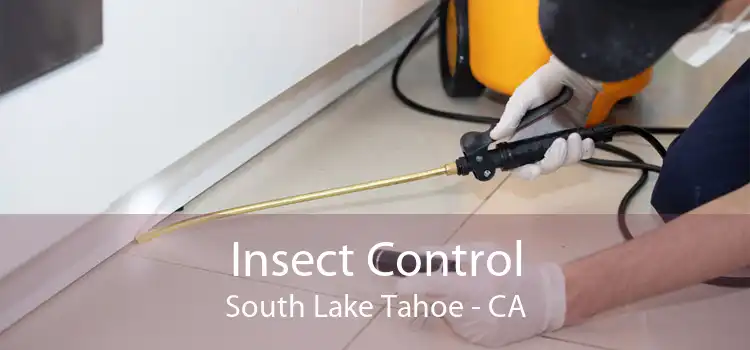 Insect Control South Lake Tahoe - CA