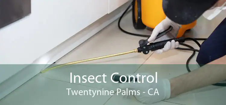Insect Control Twentynine Palms - CA
