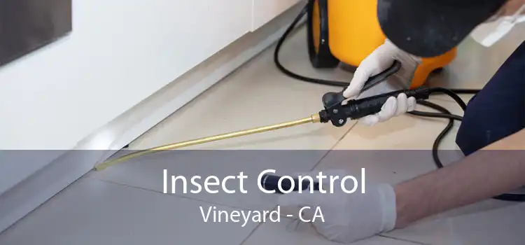 Insect Control Vineyard - CA