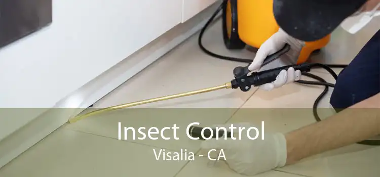 Insect Control Visalia - CA
