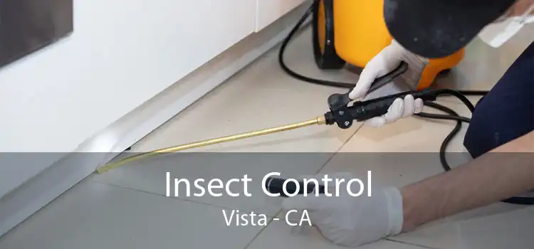 Insect Control Vista - CA
