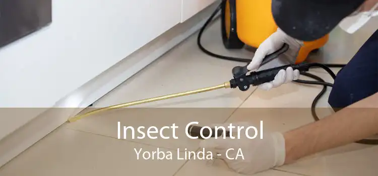 Insect Control Yorba Linda - CA